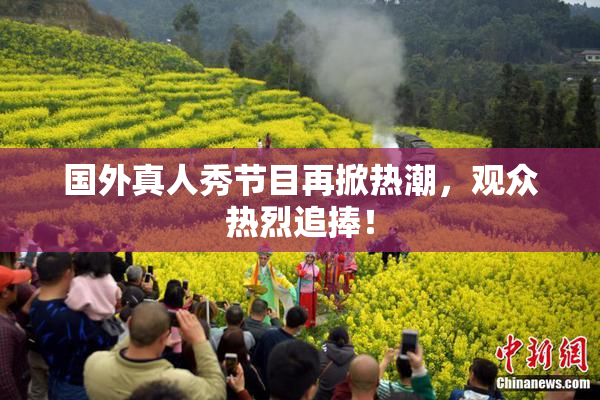 国外真人秀节目再掀热潮，观众热烈追捧！