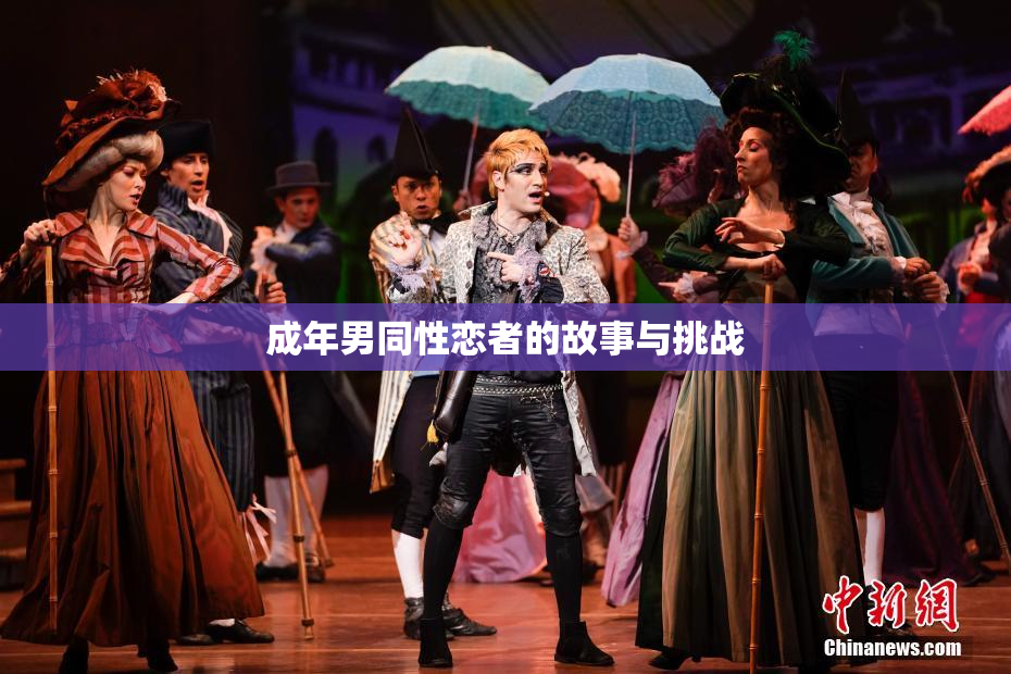 成年男同性恋者的故事与挑战