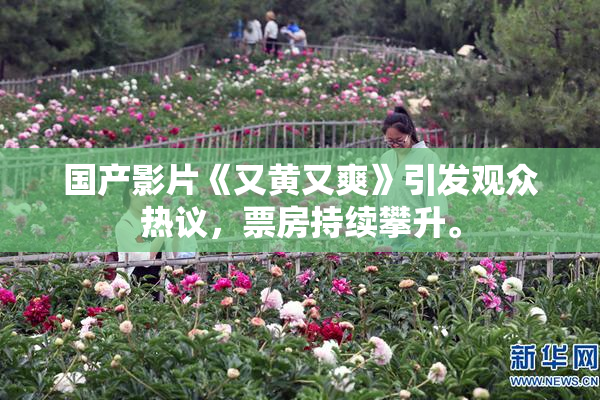 国产影片《又黄又爽》引发观众热议，票房持续攀升。
