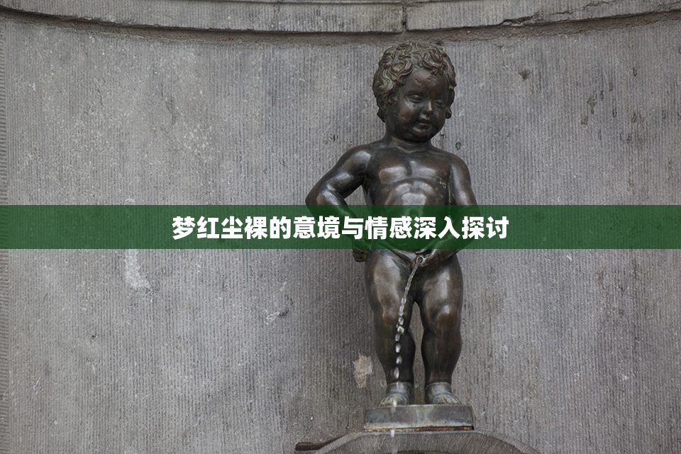 梦红尘裸的意境与情感深入探讨