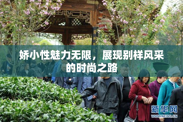 娇小性魅力无限，展现别样风采的时尚之路