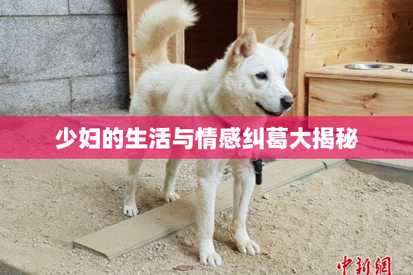 少妇的生活与情感纠葛大揭秘
