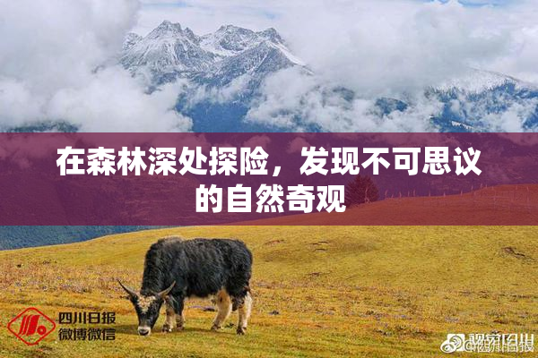 在森林深处探险，发现不可思议的自然奇观