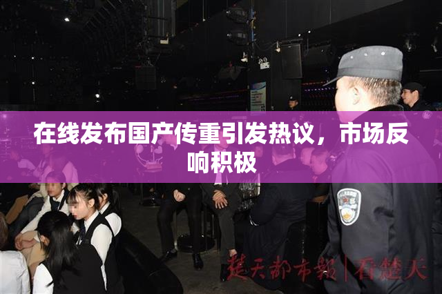 在线发布国产传重引发热议，市场反响积极