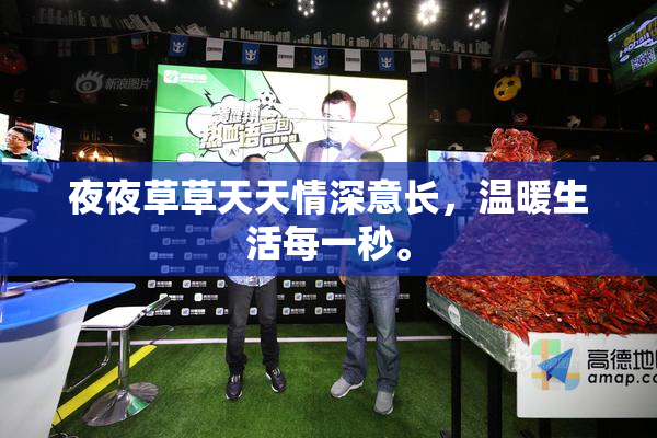 夜夜草草天天情深意长，温暖生活每一秒。