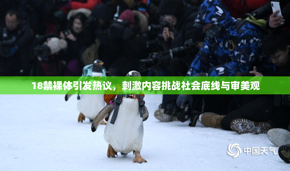 18禁裸体引发热议，刺激内容挑战社会底线与审美观
