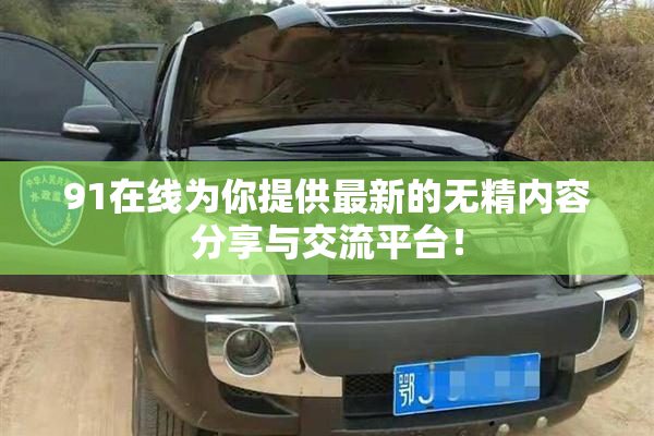 91在线为你提供最新的无精内容分享与交流平台！