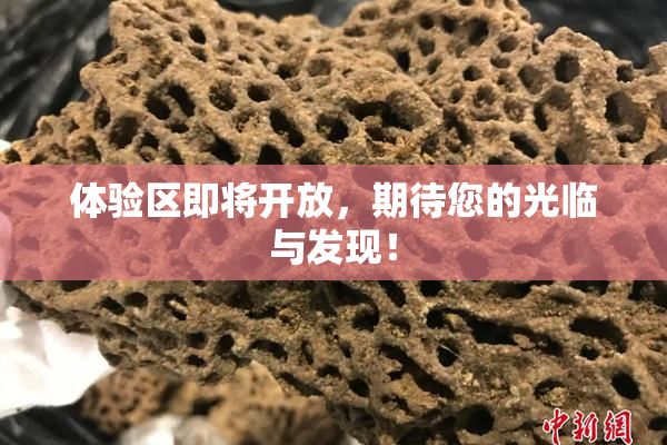 体验区即将开放，期待您的光临与发现！