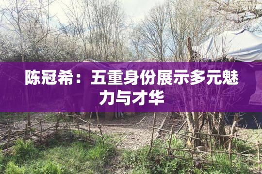 陈冠希：五重身份展示多元魅力与才华