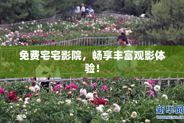 免费宅宅影院，畅享丰富观影体验！