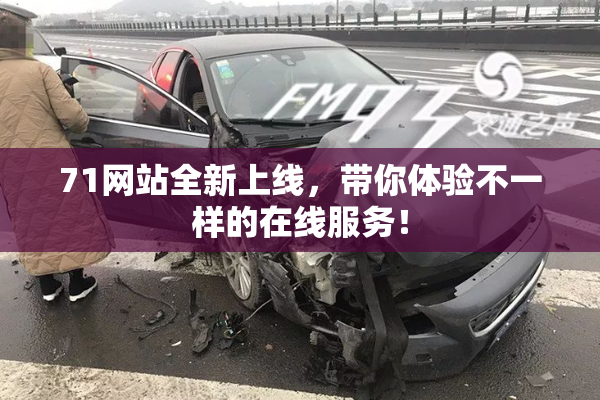 71网站全新上线，带你体验不一样的在线服务！