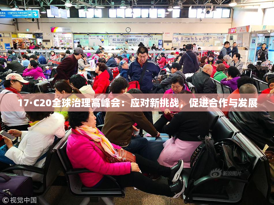 17·C20全球治理高峰会：应对新挑战，促进合作与发展