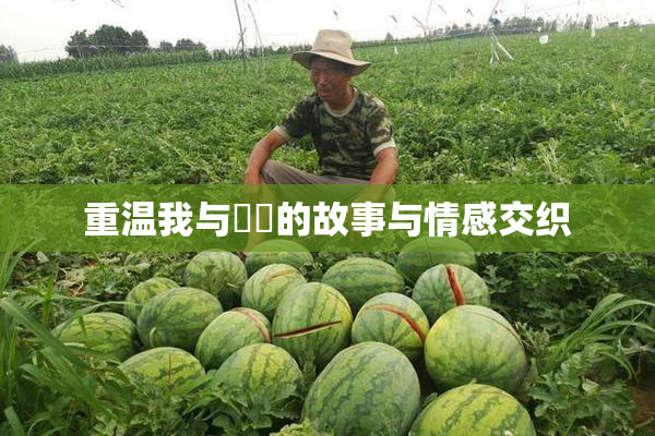 重温我与妺妺的故事与情感交织