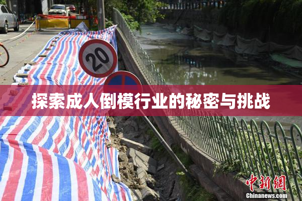 探索成人倒模行业的秘密与挑战