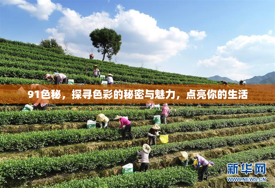 91色秘，探寻色彩的秘密与魅力，点亮你的生活