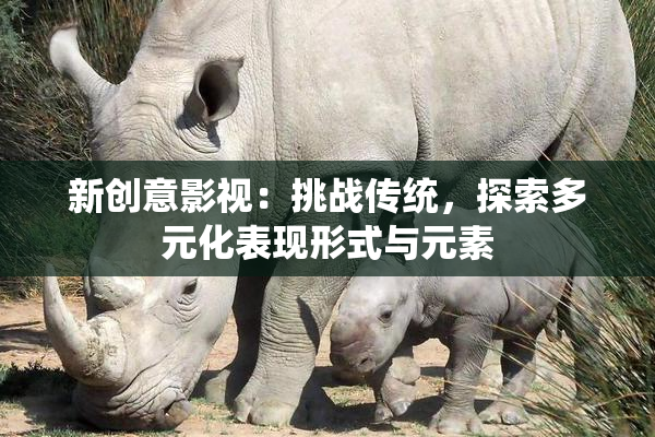新创意影视：挑战传统，探索多元化表现形式与元素