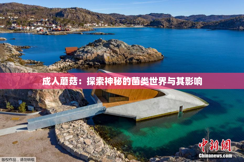 成人蘑菇：探索神秘的菌类世界与其影响