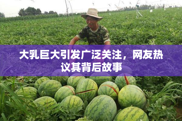 大乳巨大引发广泛关注，网友热议其背后故事