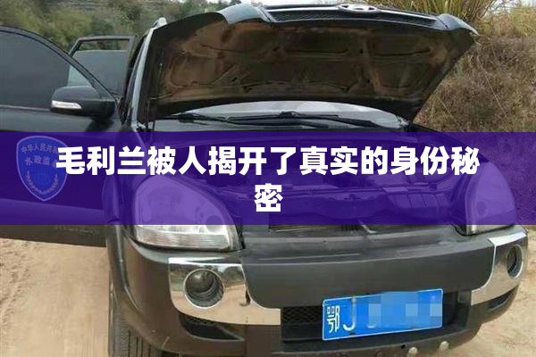 毛利兰被人揭开了真实的身份秘密