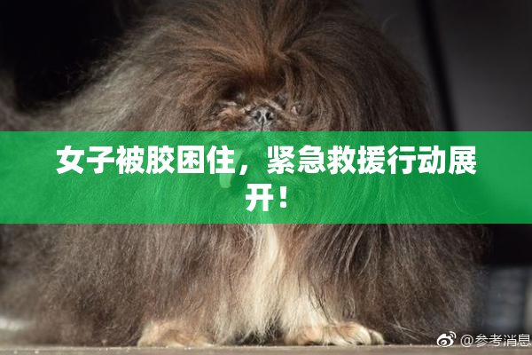 女子被胶困住，紧急救援行动展开！
