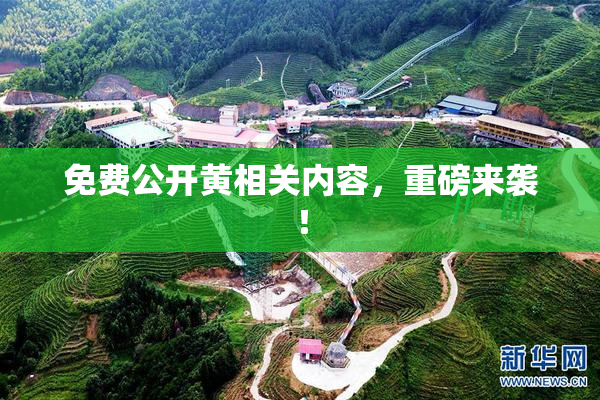 免费公开黄相关内容，重磅来袭！