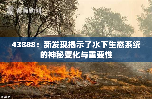 43888：新发现揭示了水下生态系统的神秘变化与重要性
