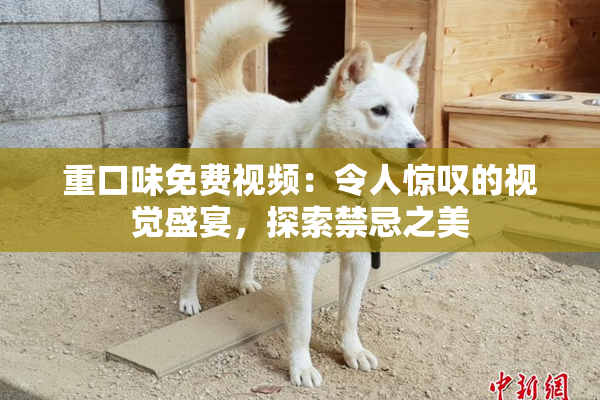 重口味免费视频：令人惊叹的视觉盛宴，探索禁忌之美