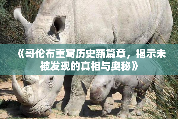 《哥伦布重写历史新篇章，揭示未被发现的真相与奥秘》