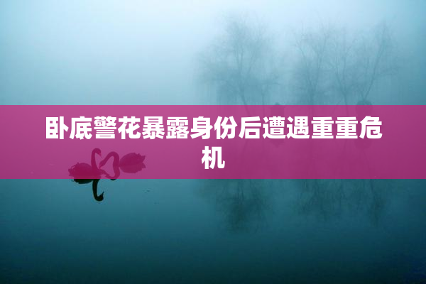 卧底警花暴露身份后遭遇重重危机