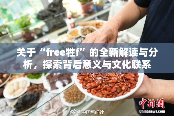 关于“free牲f”的全新解读与分析，探索背后意义与文化联系