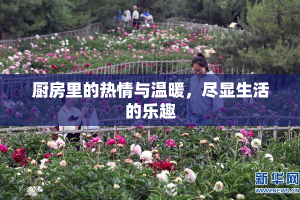 厨房里的热情与温暖，尽显生活的乐趣