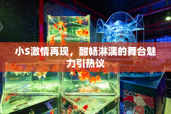 小S激情再现，酣畅淋漓的舞台魅力引热议