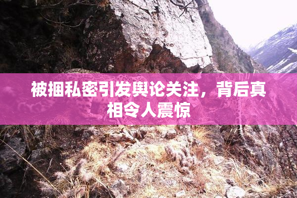 被捆私密引发舆论关注，背后真相令人震惊