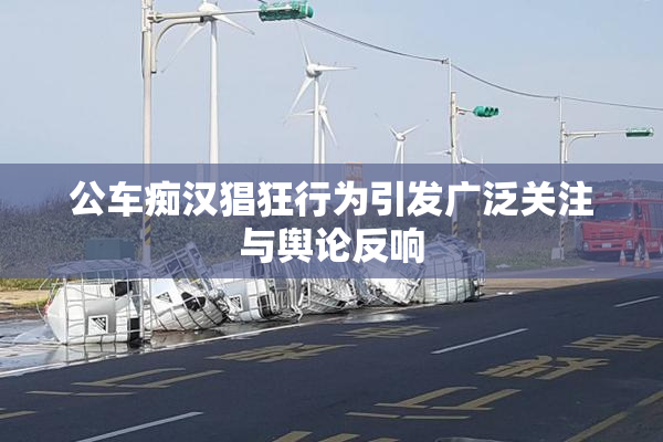 公车痴汉猖狂行为引发广泛关注与舆论反响