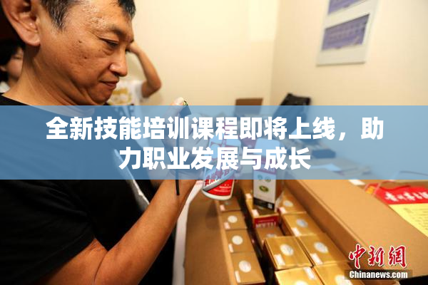 全新技能培训课程即将上线，助力职业发展与成长