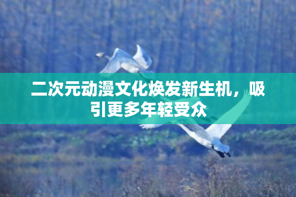 二次元动漫文化焕发新生机，吸引更多年轻受众