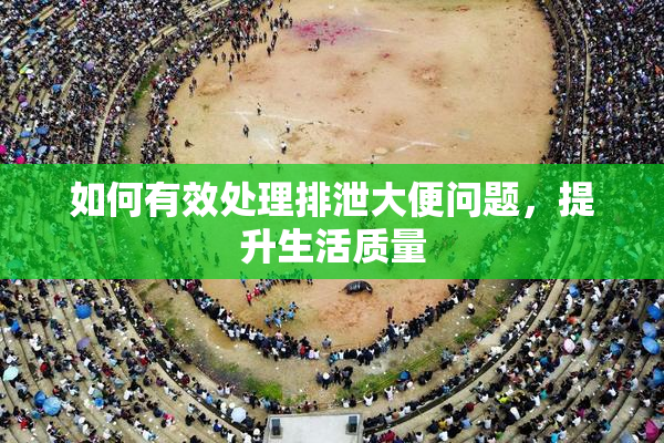 如何有效处理排泄大便问题，提升生活质量