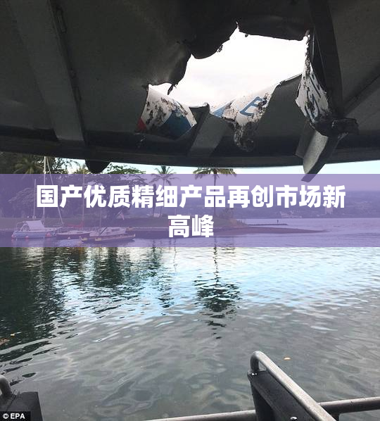 国产优质精细产品再创市场新高峰
