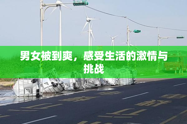 男女被到爽，感受生活的激情与挑战