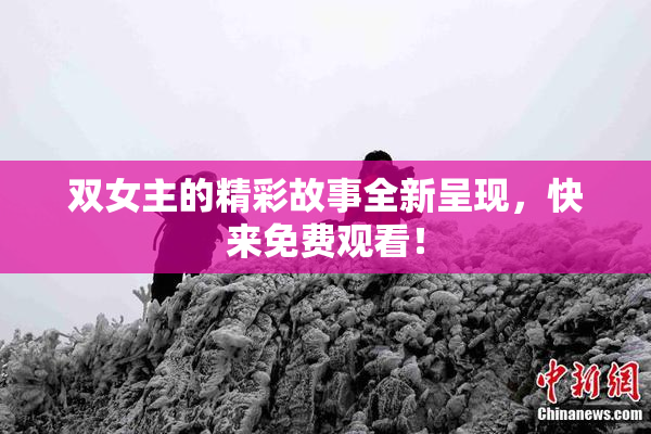 双女主的精彩故事全新呈现，快来免费观看！