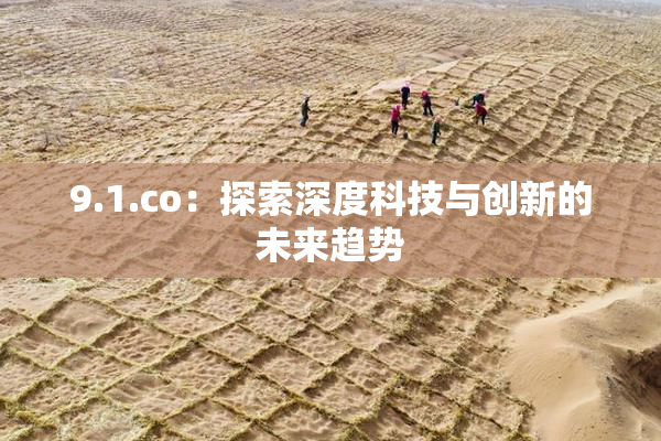 9.1.co：探索深度科技与创新的未来趋势