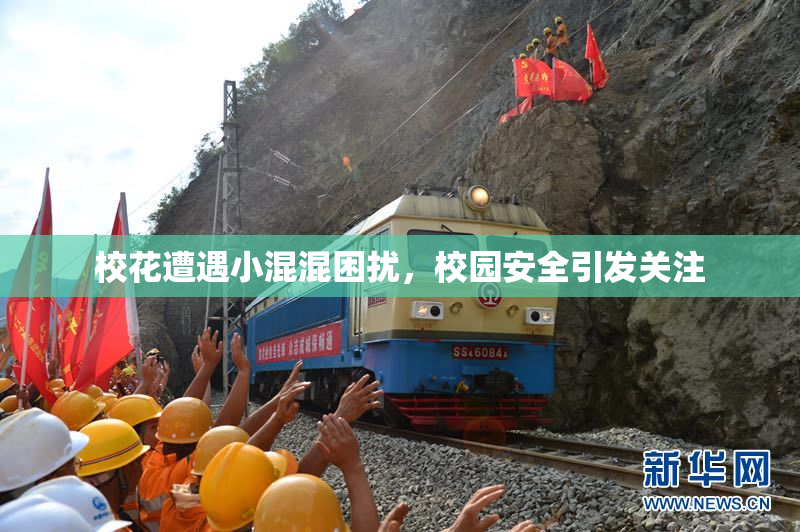 校花遭遇小混混困扰，校园安全引发关注