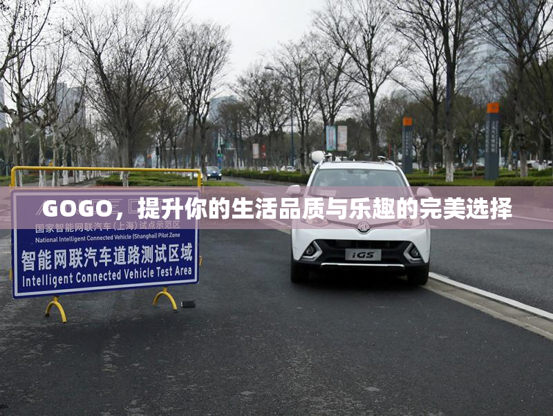 GOGO，提升你的生活品质与乐趣的完美选择