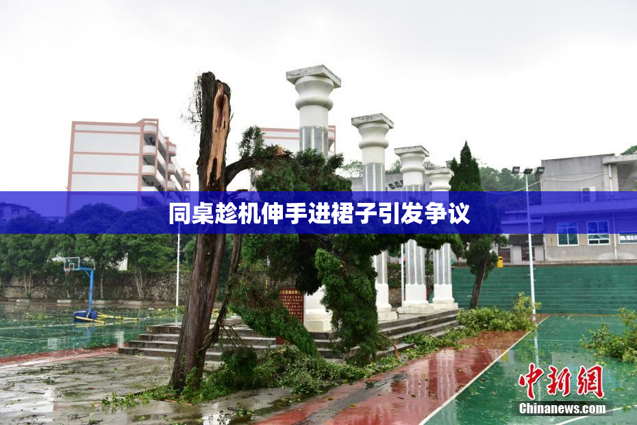 同桌趁机伸手进裙子引发争议