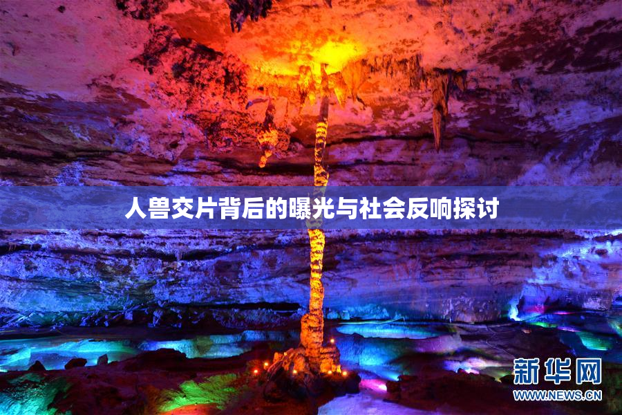 人兽交片背后的曝光与社会反响探讨