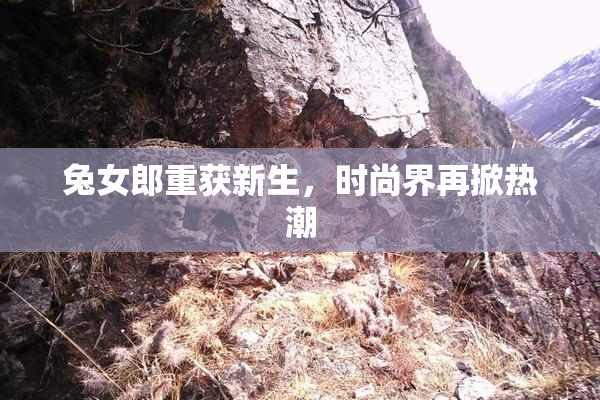 兔女郎重获新生，时尚界再掀热潮