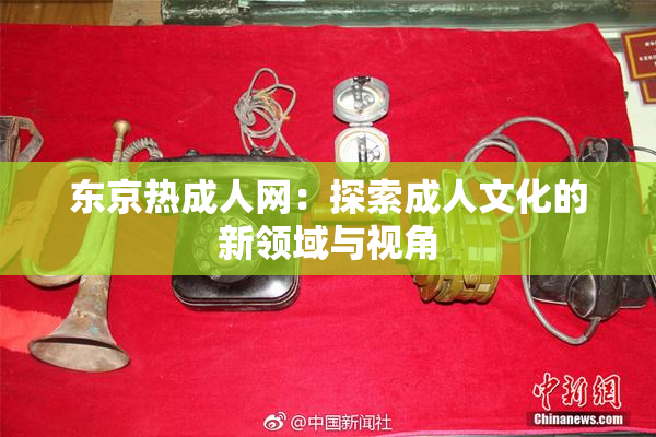 东京热成人网：探索成人文化的新领域与视角