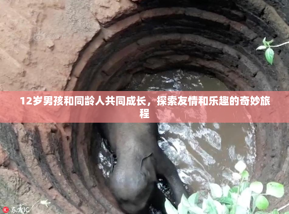 12岁男孩和同龄人共同成长，探索友情和乐趣的奇妙旅程