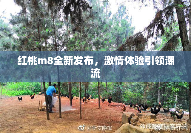 红桃m8全新发布，激情体验引领潮流