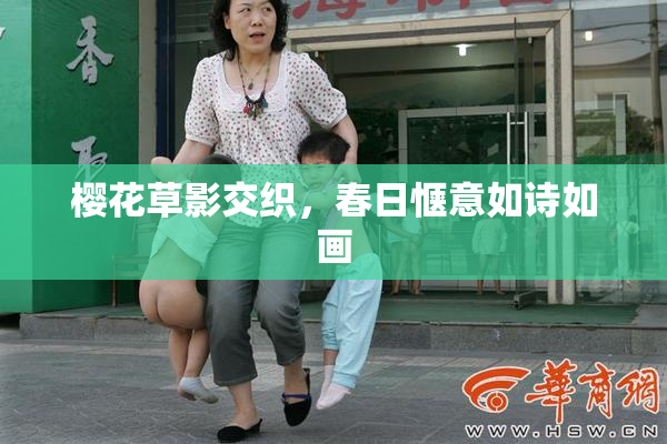 樱花草影交织，春日惬意如诗如画